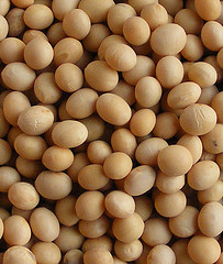 Dried soybeans