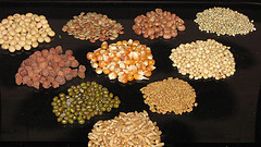 Different kinds of beans