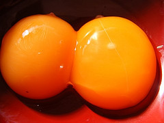 Twin yolks